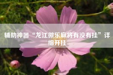 辅助神器“龙江微乐麻将有没有挂	”详细开挂