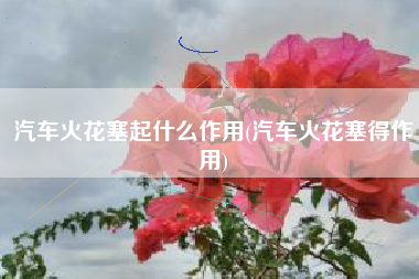 汽车火花塞起什么作用(汽车火花塞得作用)