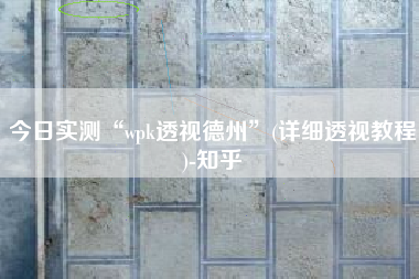 今日实测“wpk透视德州”(详细透视教程)-知乎