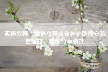 实操教程“微信小程序雀神辅助器安装包插件	”详细分享装挂