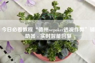 今日必看教程“德州wepoker透视作弊	”辅助器 - 实时智能回复
