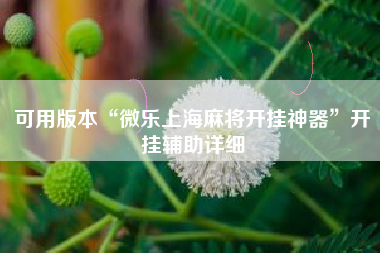 可用版本“微乐上海麻将开挂神器”开挂辅助详细