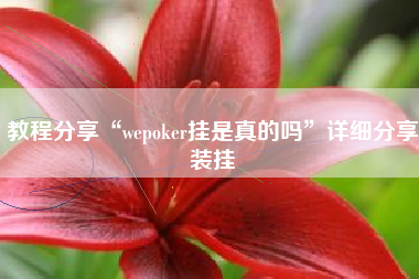 教程分享“wepoker挂是真的吗”详细分享装挂