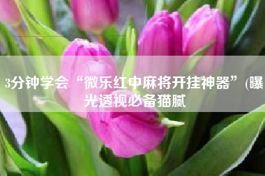 3分钟学会“微乐红中麻将开挂神器	”(曝光透视必备猫腻