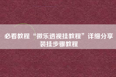 必看教程“微乐透视挂教程”详细分享装挂步骤教程