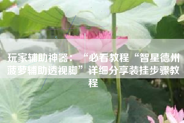 玩家辅助神器：“必看教程“智星德州菠萝辅助透视脚	”详细分享装挂步骤教程