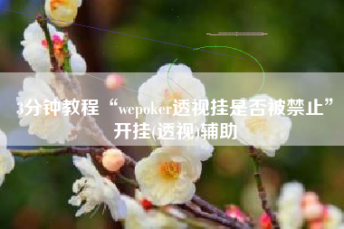 3分钟教程“wepoker透视挂是否被禁止”开挂(透视)辅助