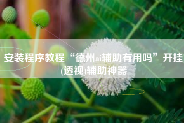安装程序教程“德州ai辅助有用吗”开挂(透视)辅助神器
