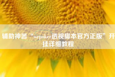 辅助神器“wepoker透视脚本官方正版”开挂详细教程