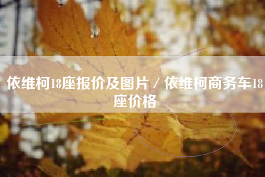 依维柯18座报价及图片／依维柯商务车18座价格