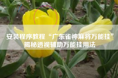 安装程序教程“广东雀神麻将万能挂”揭秘透视辅助万能挂用法
