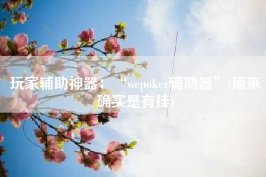 玩家辅助神器：“wepoker辅助器”(原来确实是有挂)