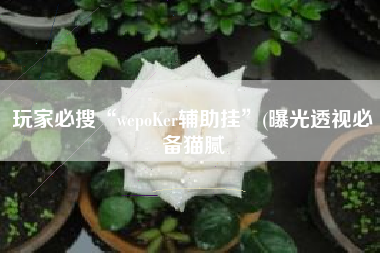 玩家必搜“wepoKer辅助挂”(曝光透视必备猫腻