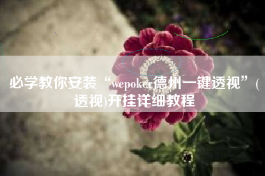 必学教你安装“wepoker德州一键透视	”(透视)开挂详细教程