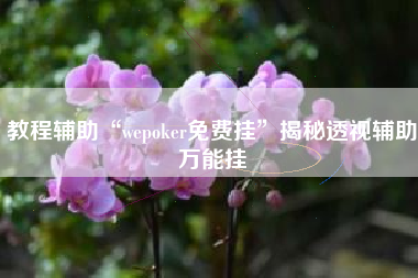 教程辅助“wepoker免费挂”揭秘透视辅助万能挂