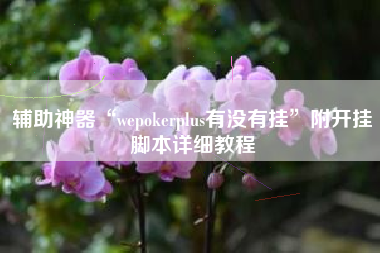 辅助神器“wepokerplus有没有挂”附开挂脚本详细教程
