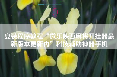 安装程序教程“微乐陕西麻将开挂器最新版本更新内	”科技辅助神器手机