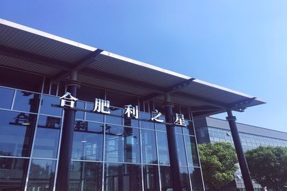 合肥利之星/合肥利星行