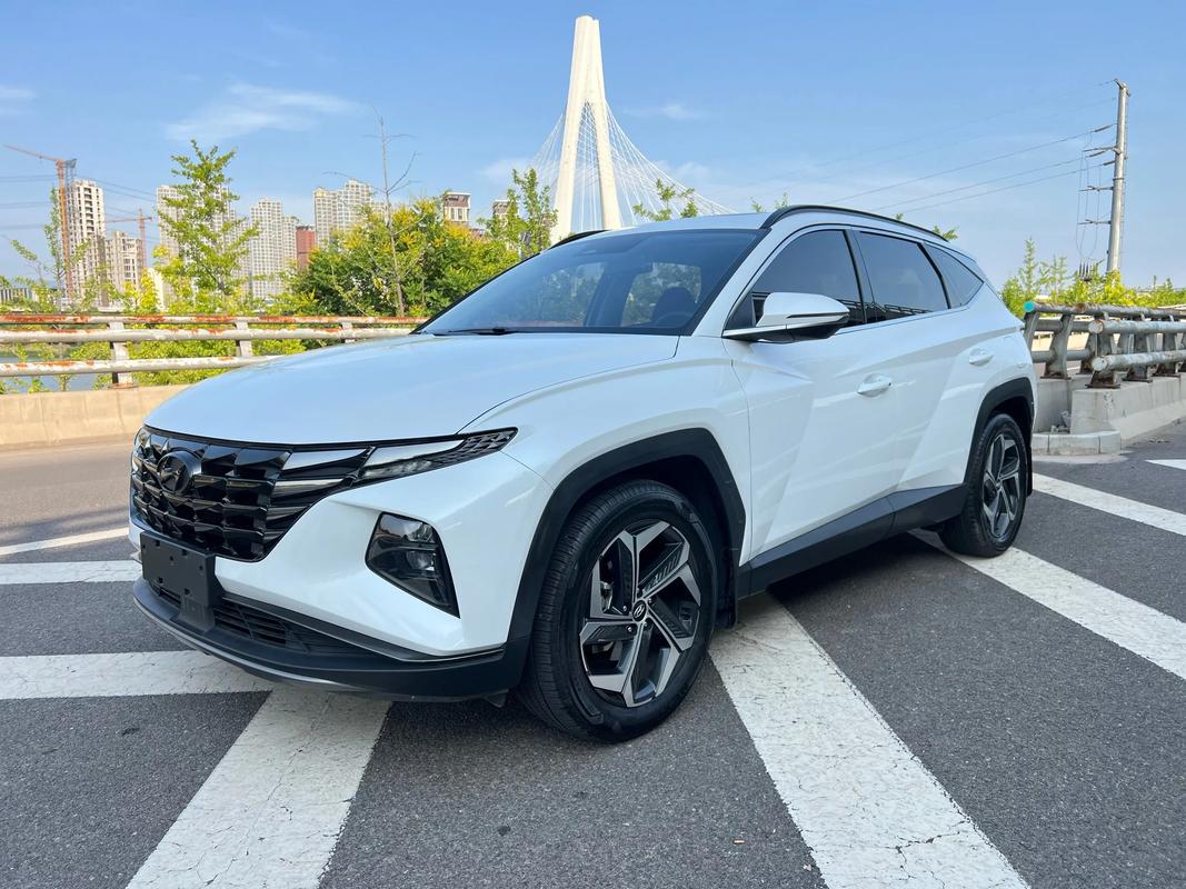 途胜l什么时候上市,途胜l什么时候能降价