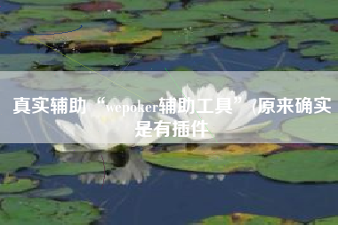 真实辅助“wepoker辅助工具”(原来确实是有插件