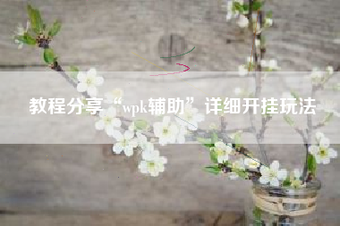 教程分享“wpk辅助”详细开挂玩法
