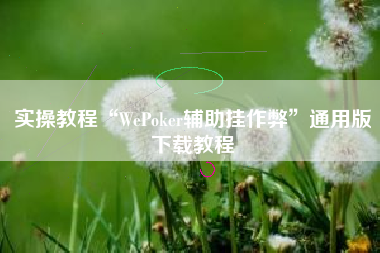 实操教程“WePoker辅助挂作弊”通用版下载教程