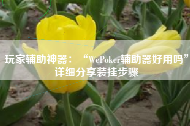 玩家辅助神器：“WePoker辅助器好用吗	”详细分享装挂步骤