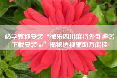 必学教你安装“微乐四川麻将外卦神器下载安装ios”揭秘透视辅助万能挂