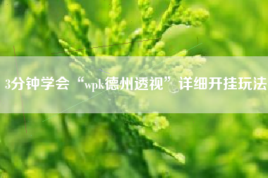 3分钟学会“wpk德州透视”详细开挂玩法