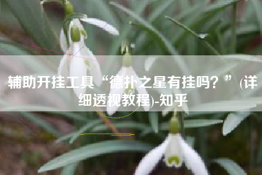 辅助开挂工具“德扑之星有挂吗？”(详细透视教程)-知乎