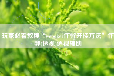 玩家必看教程“wepoker作弊开挂方法	”作弊(透视)透视辅助