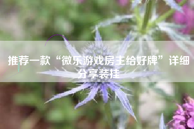 推荐一款“微乐游戏房主给好牌”详细分享装挂