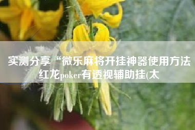 实测分享“微乐麻将开挂神器使用方法红龙poker有透视辅助挂(太 实测分享“微乐麻将开挂神器使用方法红龙poker有透视辅助挂(太