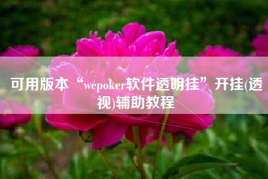 可用版本“wepoker软件透明挂”开挂(透视)辅助教程