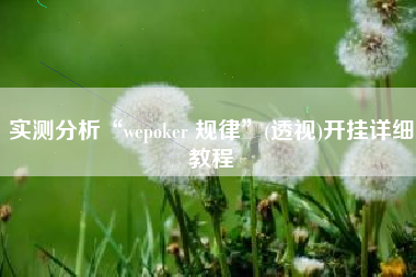 实测分析“wepoker 规律”(透视)开挂详细教程