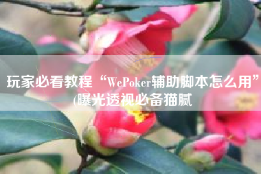 玩家必看教程“WePoker辅助脚本怎么用”(曝光透视必备猫腻