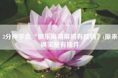 3分钟学会“微乐海南麻将有挂吗	”(原来确实是有插件