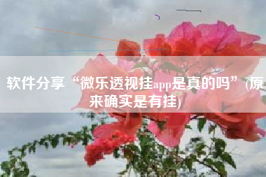 软件分享“微乐透视挂app是真的吗”(原来确实是有挂)