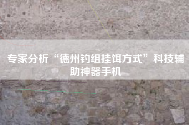 专家分析“德州钓组挂饵方式	”科技辅助神器手机