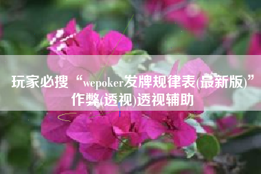 玩家必搜“wepoker发牌规律表(最新版)”作弊(透视)透视辅助