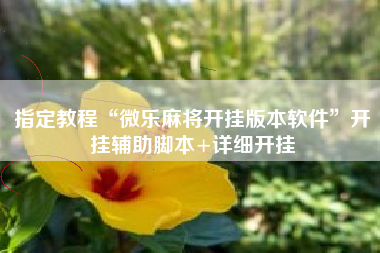 指定教程“微乐麻将开挂版本软件	”开挂辅助脚本+详细开挂