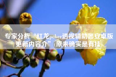 专家分析“红龙poker透视辅助器安卓版更新内容介	”(原来确实是有挂)