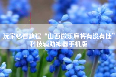 玩家必看教程“山西微乐麻将有没有挂	”科技辅助神器手机版