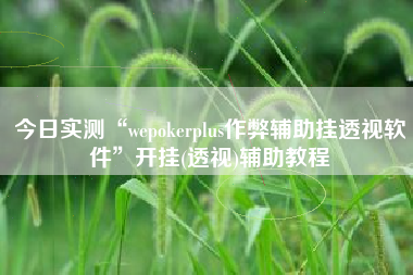 今日实测“wepokerplus作弊辅助挂透视软件	”开挂(透视)辅助教程